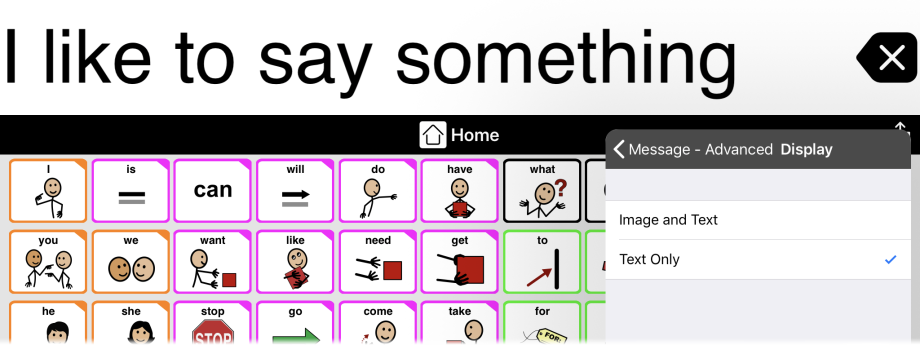 Message Window set to text only