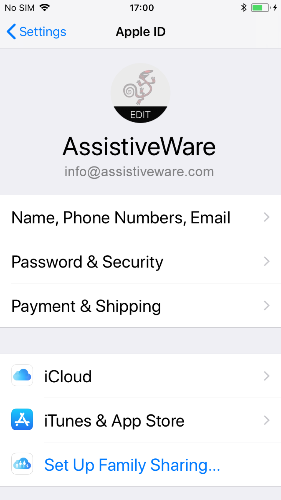Apple ID settings in the Settings app