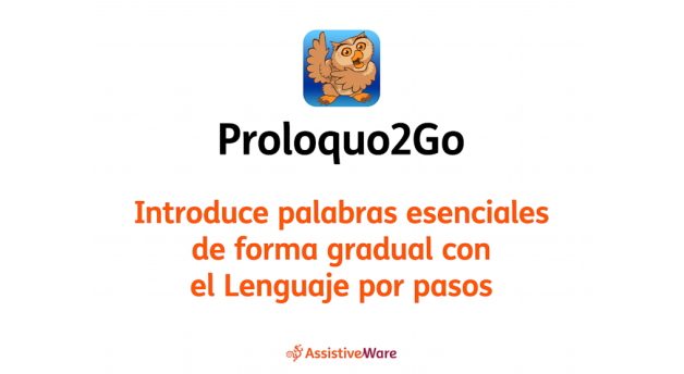 Video introduce palabras