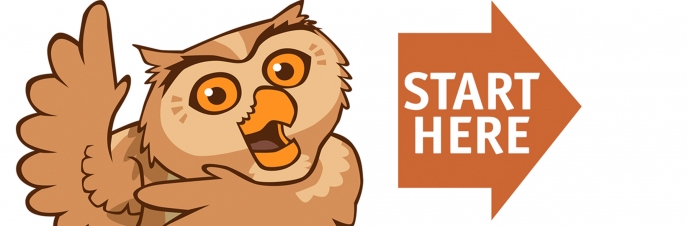 Owl Animation