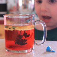 Jongen die naar een glas kijkt met een wetenschappelijk experiment