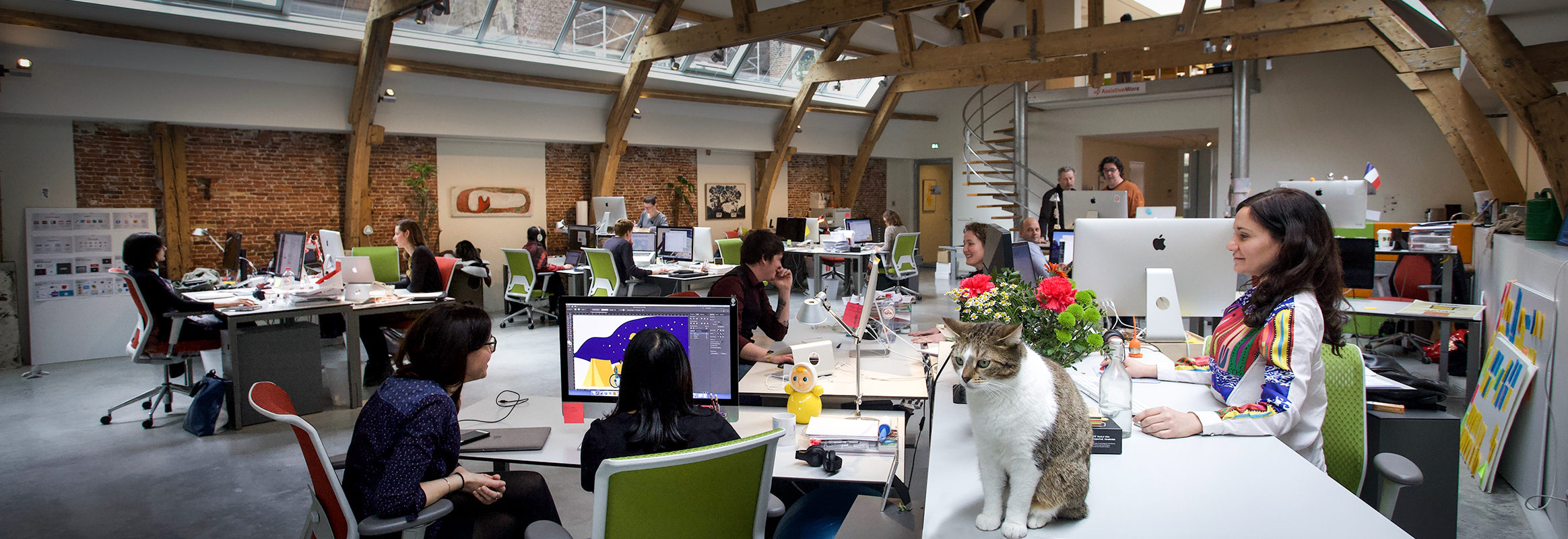 AssistiveWare's spacious office in daylight entering through skylights. People are sitting and standing at desks. Starsky, one of the two office cats, sits prominently on the table closest to the camera.