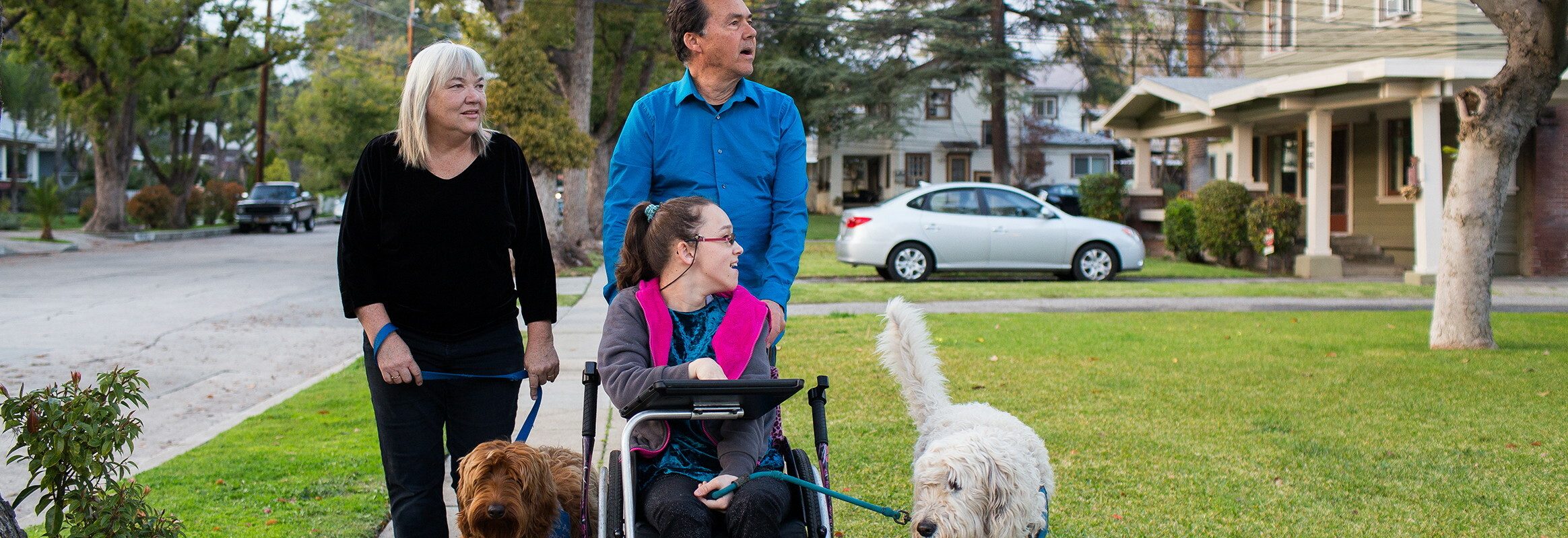 Padre, madre e hijo paseando a sus perros, todos mirando a su lado izquierdo a algo fuera de la imagen.