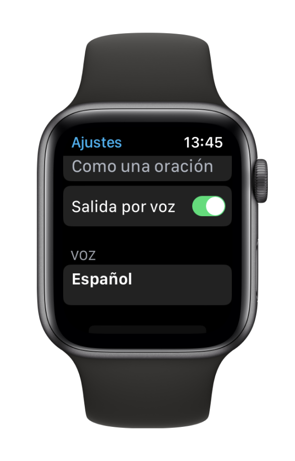 ES Proloquo4 Text Watch Voice