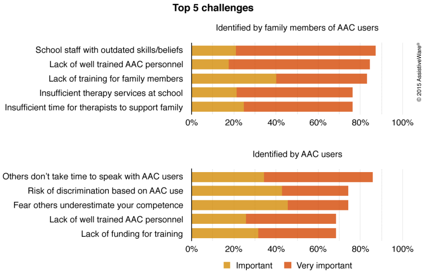 Graph with Top 5 challenges