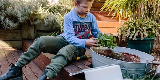 Boy working in the garden